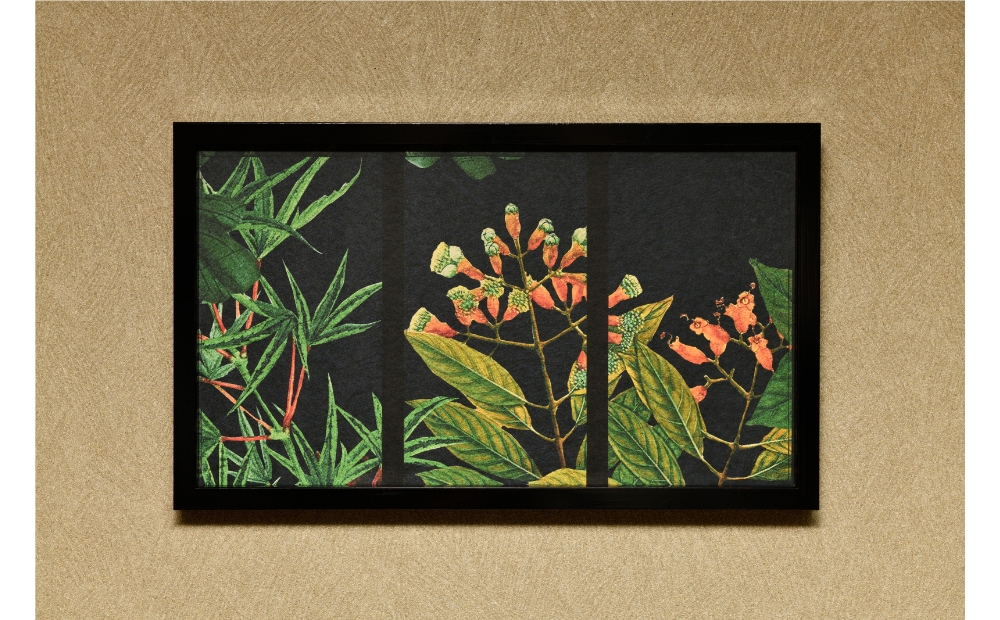 アートフレーム CURANDO．光輝 koki